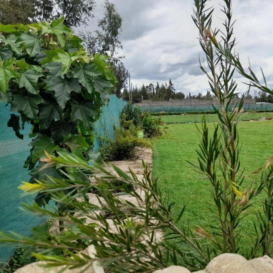 Rafiki House Hotel Nanyuki Buitenkant foto